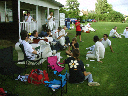 tea e divani